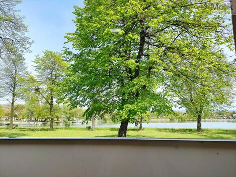 foto02_11381996_3n0tk.jpg