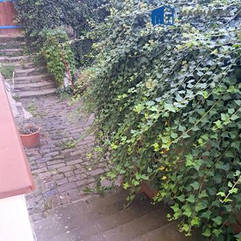 foto02_11382014_jhjpk.jpg