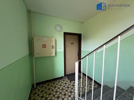 foto02_11468492_1dzc04.jpg