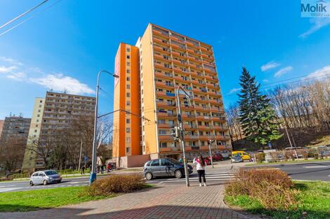 foto02_11498979_xv0vk.jpg