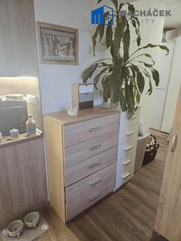 foto02_11506508_1i5y2k.jpg