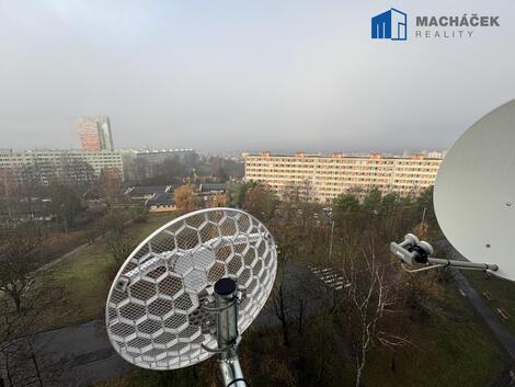 foto02_11547025_1bqmu0.jpg