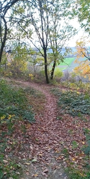 foto16_11555164_03405.jpg