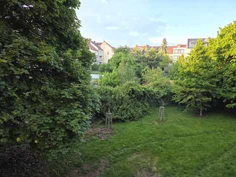 foto05_11497474_317du.jpg