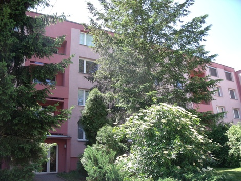 foto05_11509067_5u4ca.jpg