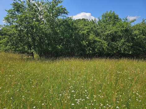 foto05_11528102_68ut2.jpg