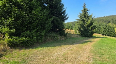 foto05_11540749_3nkgg.jpg