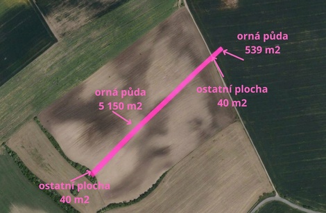 foto05_11557601_8c0lo.jpg