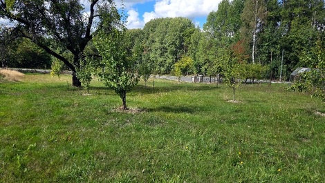 foto05_11563361_1fmei.jpg