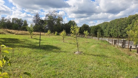 foto05_11563361_4i0c8.jpg