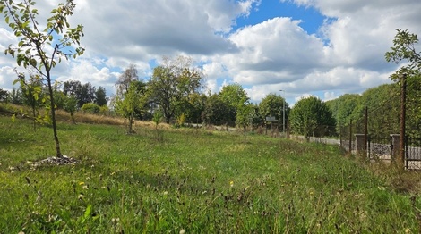 foto05_11563361_4kkia.jpg