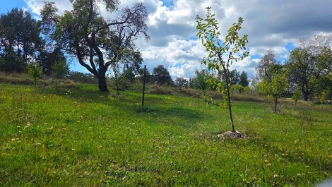 foto05_11563361_5uof4.jpg