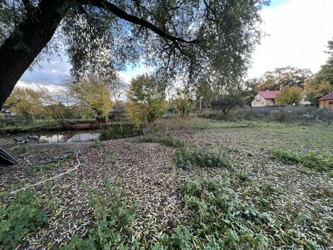 foto02_11383734_jbog0.jpg