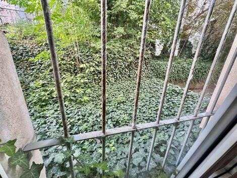 foto02_11383778_3hku0.jpg