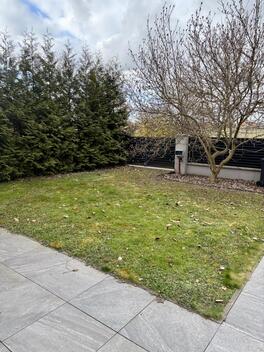 foto02_11477634_1kee24.jpg
