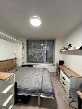 foto02_11495009_1nvsc.jpg