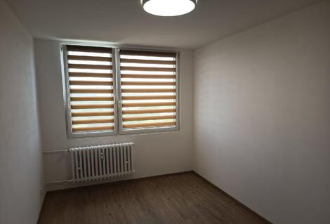 foto02_11539593_hgxz4.jpg