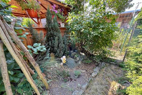 foto02_11519954_f9xlw.jpg