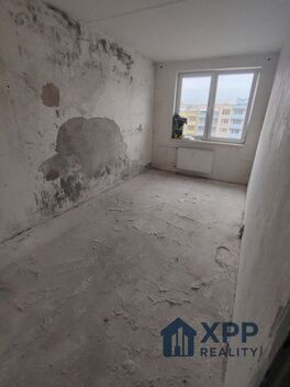 foto02_11462904_4d2s8.jpg