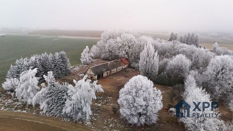 foto02_11475639_yeesk.jpg