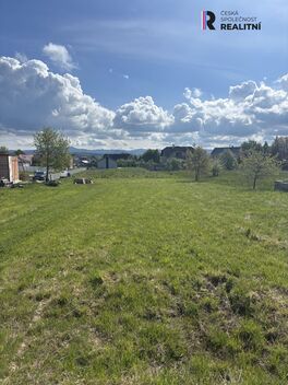 foto13_11495810_17792.jpg