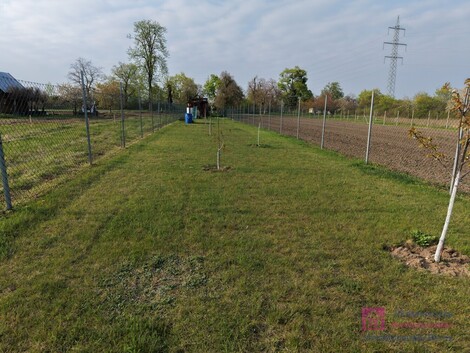 foto15_11490107_77427.jpg