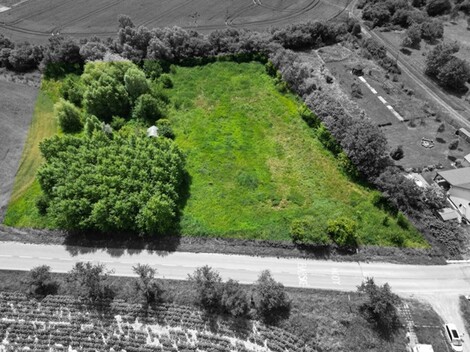 foto15_11502187_56744.jpg
