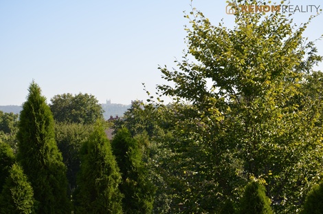 foto05_11464357_6r3cm.jpg