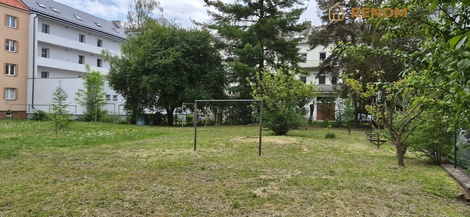foto05_11491901_glus.jpg
