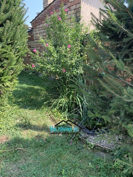 foto05_11100880_26fvi.jpg