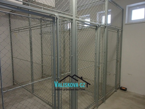 foto05_11493948_4uv9o.jpg