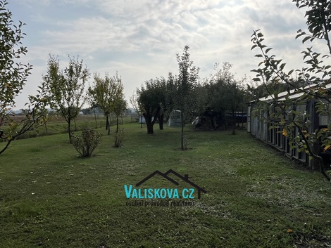 foto05_11560850_3jotg.jpg