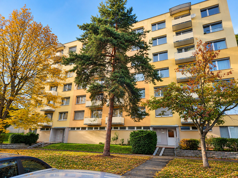 foto16_11571328_74929.jpg
