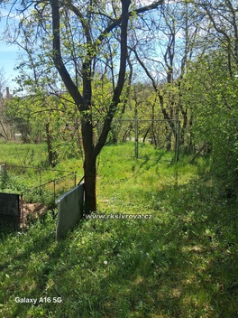 foto05_11486023_8pi76.jpg