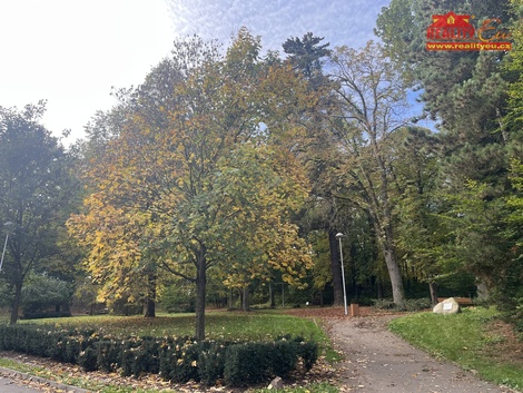foto05_11568761_6rsjs.jpg