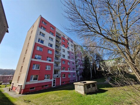 foto04_11325972_syuz8.jpg