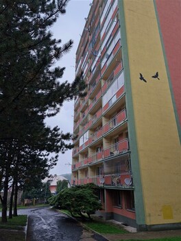 foto04_11384066_8oytk.jpg