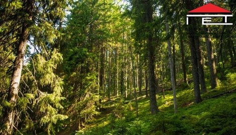 foto05_11476968_7cavu.jpg