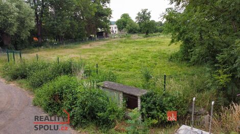 foto02_11259892_nbjzw.jpg