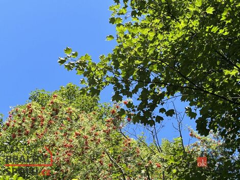 foto02_11268859_1ebxbk.jpg