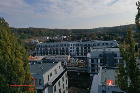 foto02_11272155_vlaik.jpg