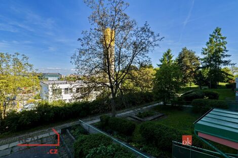 foto02_11316620_3zpzw.jpg