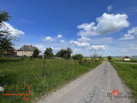foto02_11316930_1mmpf0.jpg