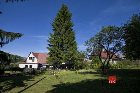 foto02_11318878_140hn0.jpg