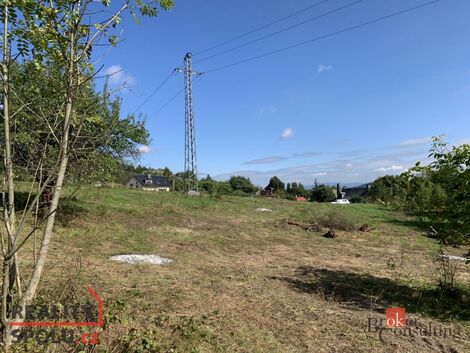 foto02_11327478_d6yx4.jpg