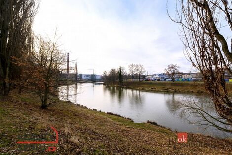 foto02_11347418_d1is.jpg