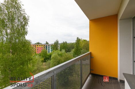 foto02_11361113_1lp0zs.jpg