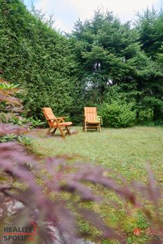 foto02_11366732_pbsb0.jpg