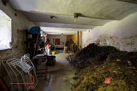 foto02_11369886_fzeco.jpg