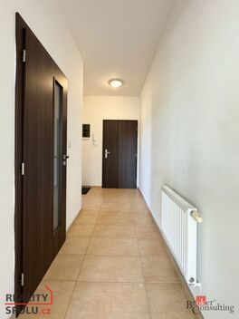 foto02_11371869_g5zrw.jpg